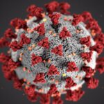 Respuesta del Coronavirus: convocatorias extraordinarias de Erasmus+ para apoyar la preparación de la educación digital y las habilidades creativas