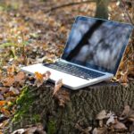 ¡Los proyectos Agón comunicado mediante cableado de fibra y Bisimbre conecta - “Cableado de fibra” han sido aprobados!