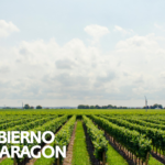 Convocatoria: promoción de vinos españoles de calidad