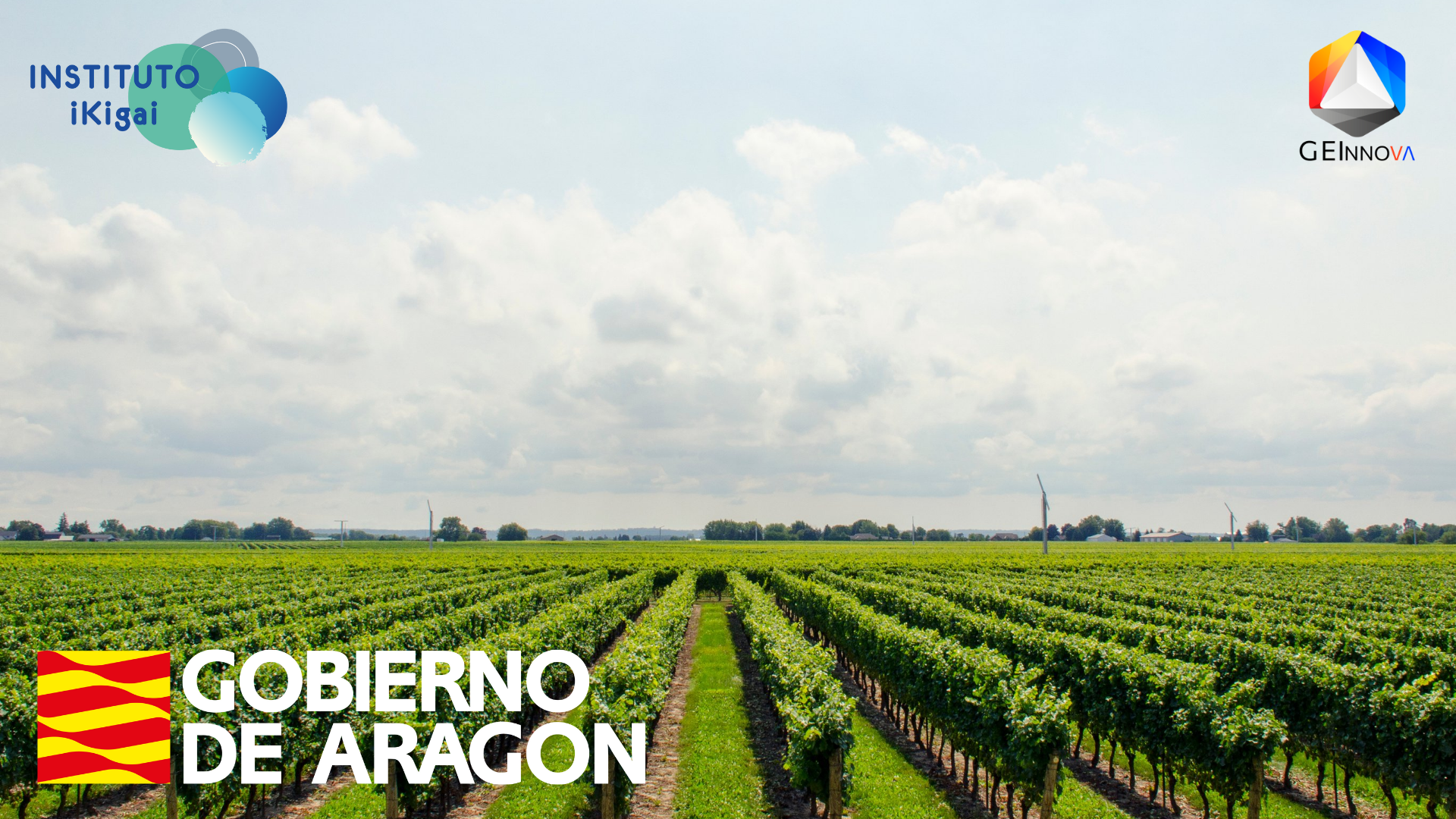 Progetto senza titolo (15)