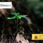 Subvenciones para apoyo a programas y proyectos de investigación en gestión de biodiversidad 2022 del Plan de Recuperación, Transformación y Resiliencia