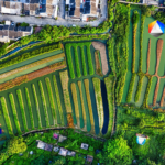 Fomento de la I+I: herramientas, soluciones y módulos para explorar los aspectos sociales de la transición ecológica